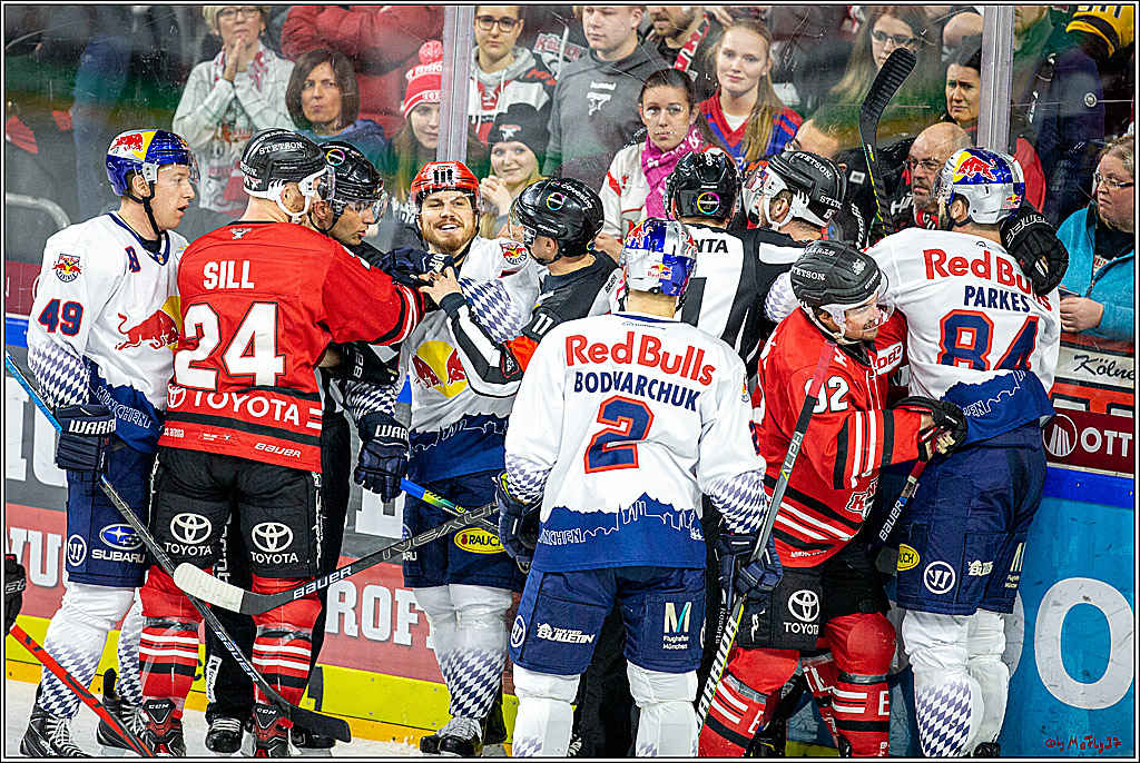 DEL;  Koelner Haie - EHC Red Bull Muenchen; Koeln, 02.02.2020